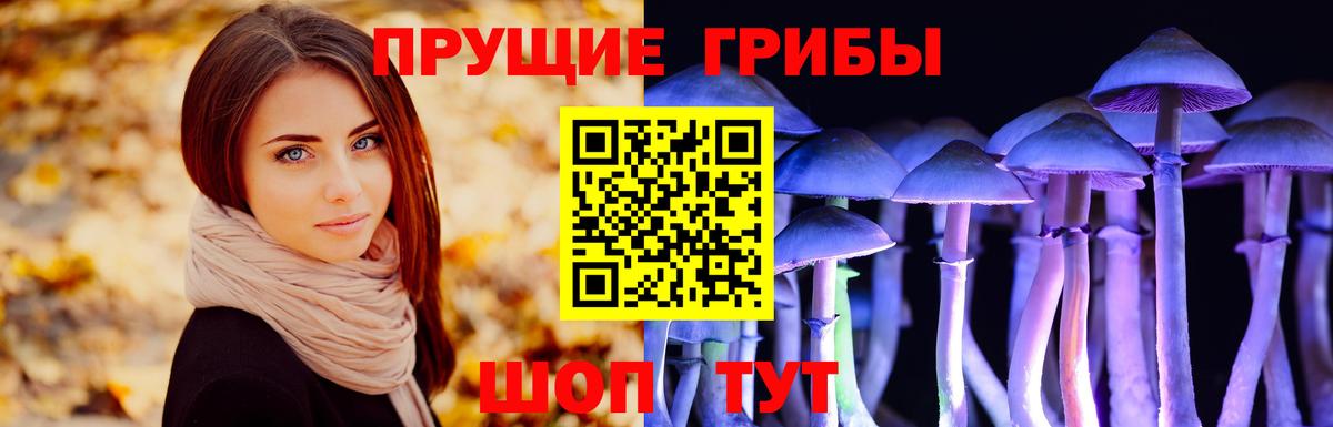 Псилоцибиновые грибы MAGIC MUSHROOMS Удомля